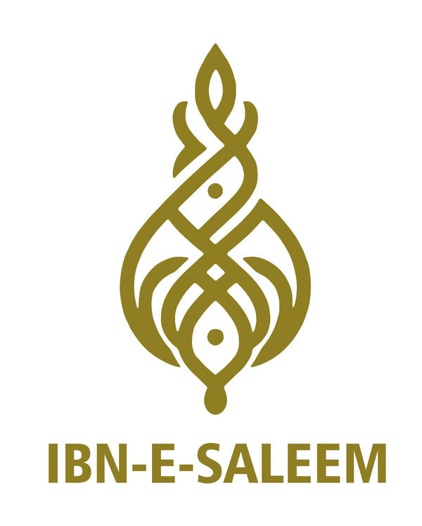 IBN E SALEEM